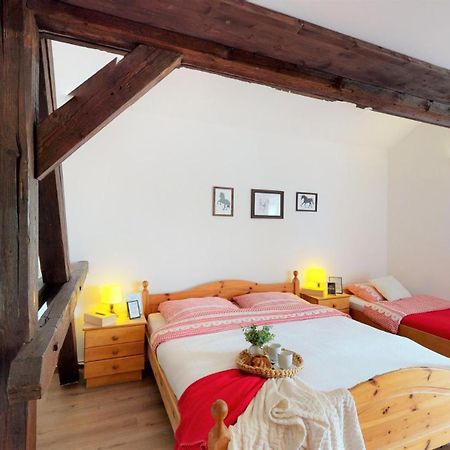 Pension U Sebastiana Hodousice 部屋 写真