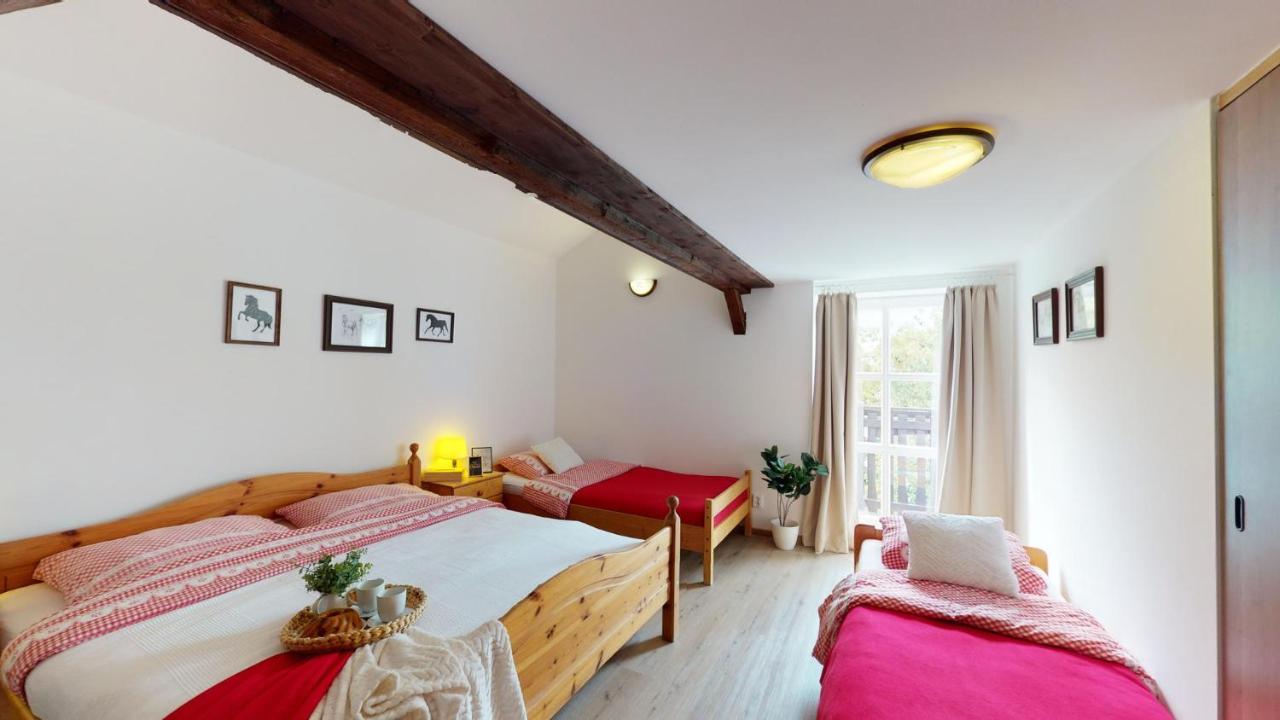 Pension U Sebastiana Hodousice エクステリア 写真