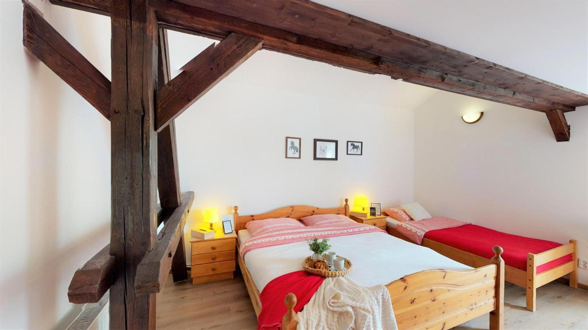 Pension U Sebastiana Hodousice 部屋 写真