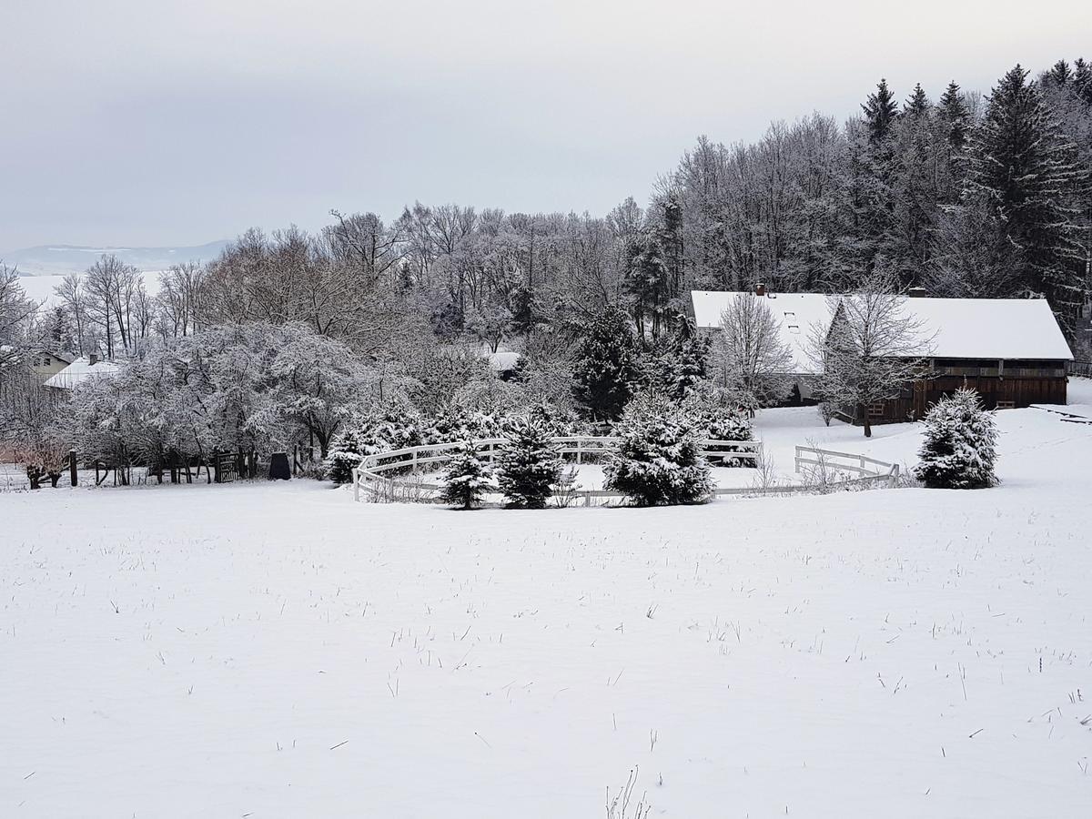 Pension U Sebastiana Hodousice エクステリア 写真
